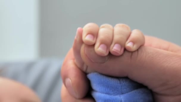 新生児の手は 家族の愛と信頼の象徴として 彼のお父さんの手を保持しようとしています 子供を持つ親の瞬間 家族の医療と医療機関の一部父親の日の概念 — ストック動画