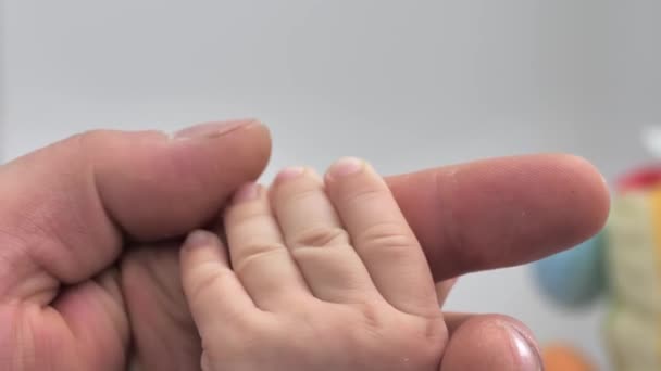 子供の手が父親の指を握っている 家族の中で子供を育て 子供の世話をする 子供の手のクローズアップ 家族計画の概念 新生児は父親の手を握っている — ストック動画