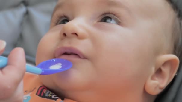 Bayi Makan Dari Sendok Makanan Pertama Bayi Yang Baru Lahir — Stok Video