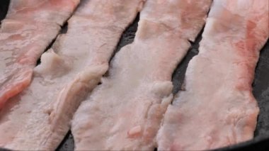 Kızgın yağda kızgın bir tavada sığır eti, yakın plan. Kızarmış pastırma dilimleri. Tavada sulu domuz eti. Bir adamın eli çatalla kızarmış parçaları çevirir.