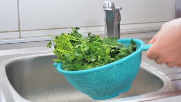 Lave Folhas Verdes Salada Legumes Frescos Torneira Afundar Pela Água — Vídeo de Stock