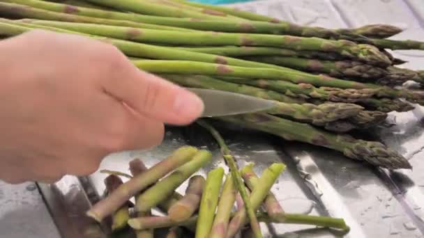 Woman Cleans Asparagus Cuts Need Eat Healthy Eating — Stock Video