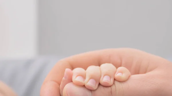 Γονείς Χέρια Κρατώντας Νεογέννητα Μωρά Δάχτυλα Κοντά Από Τους Πατέρες — Φωτογραφία Αρχείου