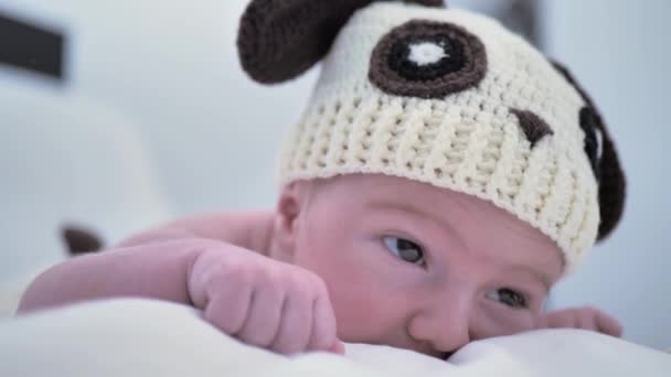 耳のある帽子を被った赤ん坊が — ストック動画