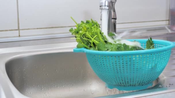 Grüne Blätter Mit Frischem Gemüsesalat Leitungswasser Aus Dem Wasserhahn Waschen — Stockvideo