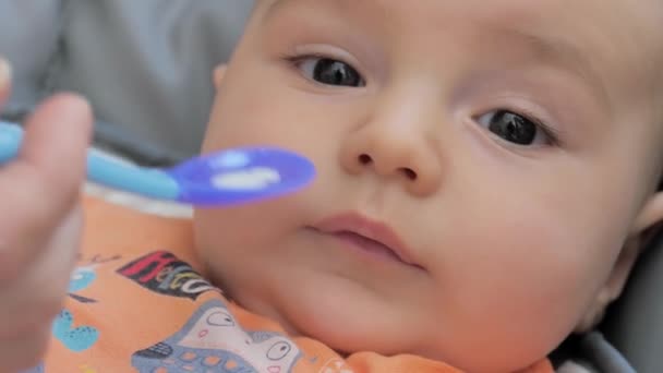 Dziecko Zjada Łyżki Pierwszy Posiłek Noworodki Karmiące Uzupełniające Świeże Tłuczone — Wideo stockowe