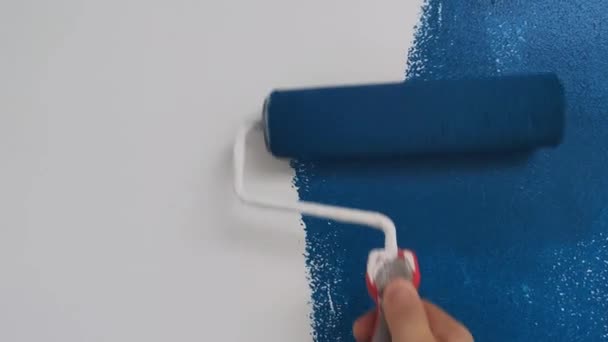 Rodillo Pintura Una Pared Blanca Con Pintura Azul — Vídeo de stock