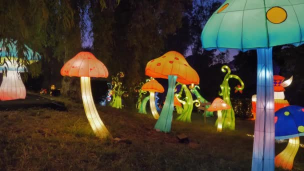 Reuzenpaddenstoelen Lichten Nachts Wonderland — Stockvideo
