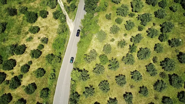Drohne Über Straße Und Olivenfeld — Stockfoto