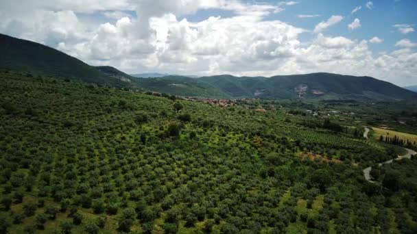 Voo Aéreo Sobre Paisagem Rural Típica Estrada Itália — Vídeo de Stock