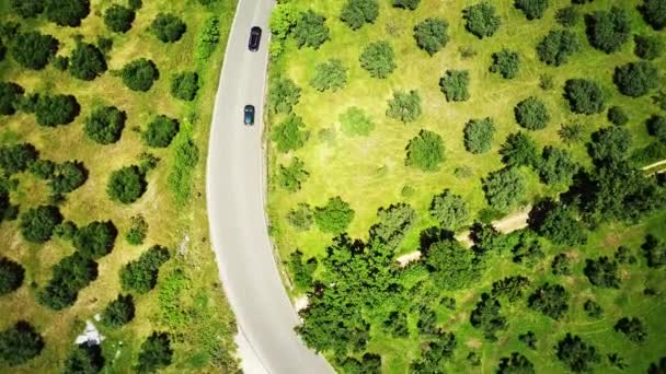 无人驾驶飞机拍摄的沿路行驶的车辆 — 图库视频影像