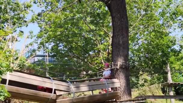 Маленький Хлопчик Ремені Безпеки Піднімається Маршруту Деревах Лісовому Парку Пригод — стокове відео