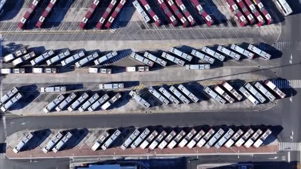 Aerial View Red Buses Huge Bus Depot — Stock Video