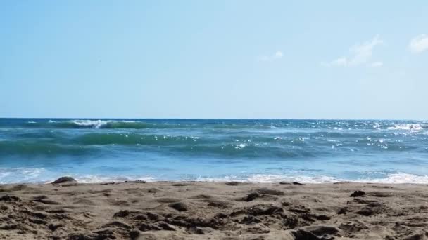 Kumsalda Deniz Dalgaları — Stok video