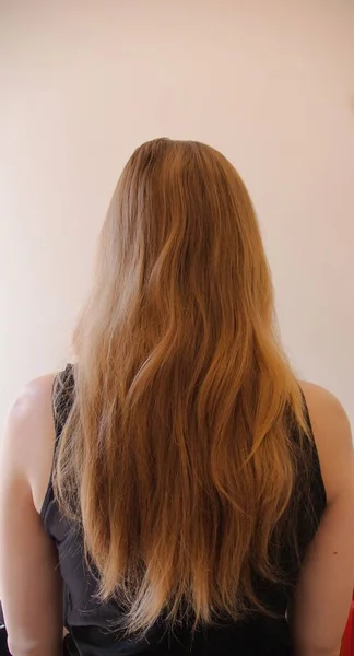 long hair of a woman from behind. on a white background