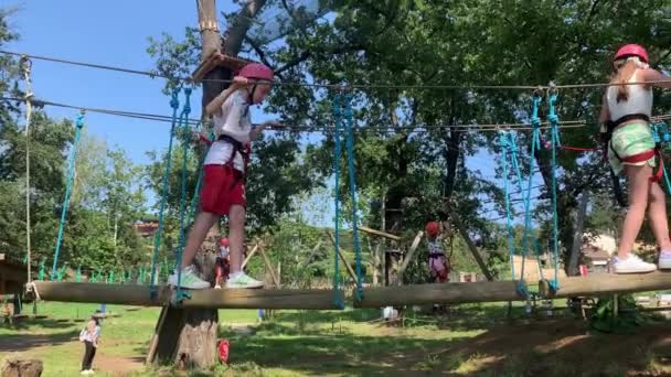 Niños Escalan Obstáculos Parque Aventuras — Vídeo de stock