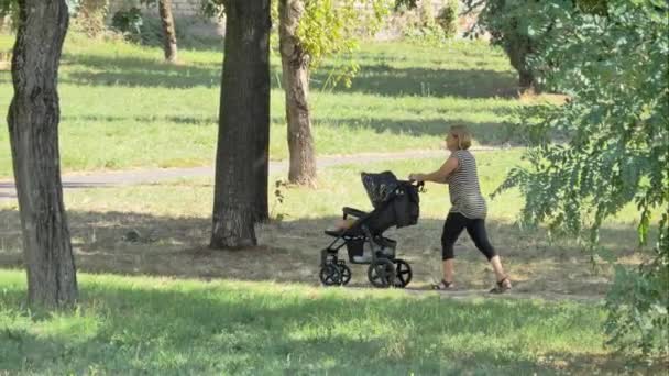 Annesi Autumn Park Bebek Arabasında Uyuyan Oğluyla Yürüyor Çocuk Yetiştirmek — Stok video