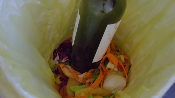 폐기물 플라스틱 폐기물을 재활용합니다 쓰레기 재활용 가정용 폐기물의 재활용 폐기물 — 비디오