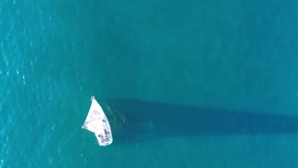 Ein Kleines Segelboot Navigiert Durch Den Weiten Offenen Ozean Umgeben — Stockvideo