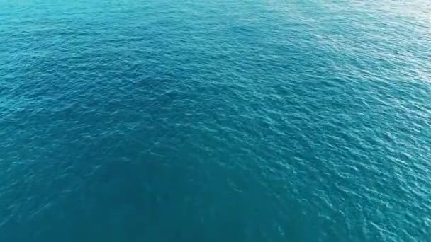Lugnt Blå Havet Vattnen Fångade Solig Dag — Stockvideo
