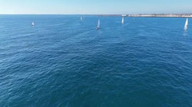 Okyanusta yelken açan bir grup yelkenli..