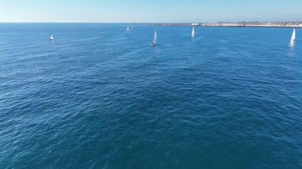 Group Sailboats Sailing Ocean — Stock Video