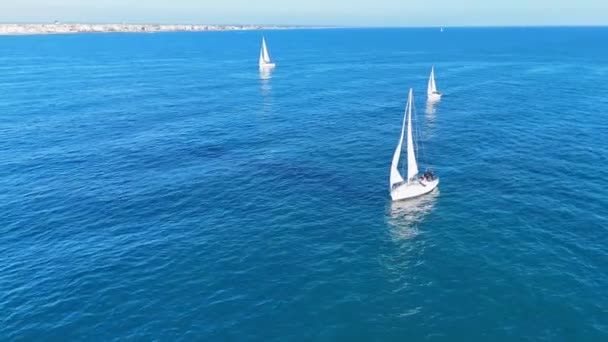 Група Вітрильних Човнів Плавають Океані — стокове відео