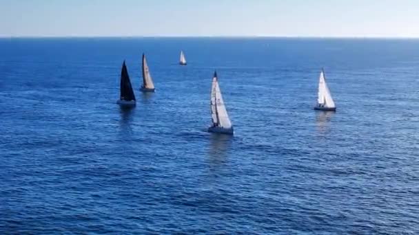 Många Segelbåtar Segling Stora Kroppen Vatten — Stockvideo