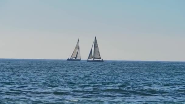 海の中を航海する2隻の帆船 — ストック動画