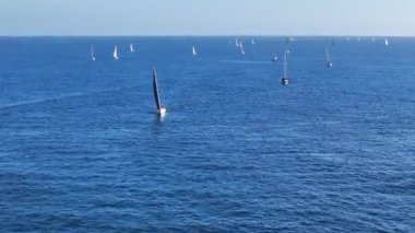 Okyanusta yelken açan bir grup yelkenli..