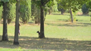 Autumn Park 'ta çimenlikte köpeğiyle oynayan bir kadın.,