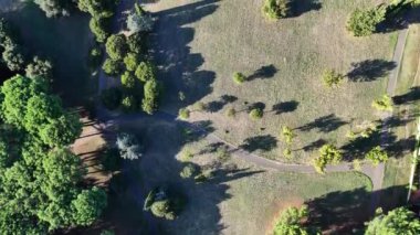 Sarkık yolları ve Şafakta Uzun Ağaçları olan yemyeşil bir parkın Serene Aerial Manzarası.