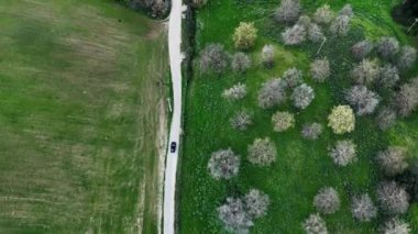 Geniş yeşil tarlalar ve filizlenen ağaçlar arasında uzanan ve baharın güzelliğini somutlaştıran huzurlu bir kırsal yol. Doğanın canlı renkleri dolambaçlı yollarla tezat oluşturuyor.