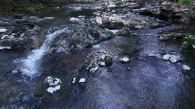 Durgun bir akarsuyun kristal berrak suları şafağın yumuşak ışığında parıldayan kayaların üzerinde zarifçe taşar. Ağaçları ve yaprakları çevreleyen ağaçlar sakin bir atmosfer yaratırken,