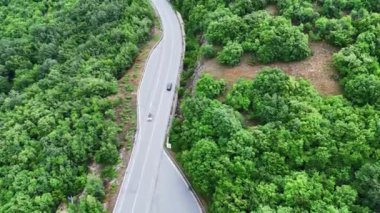 Dönek bir yol zarif bir şekilde ağaçların çeşitli yeşillik gölgelerinde yeşerdiği canlı yeşil bir ormanın içinden geçer. Kavisli yoldan geçen iki araç, insan mühendisliği arasındaki uyumu gösteriyor.