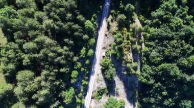 Ağaçların canlı gölgesinin üzerinde, bir demiryolu zarif bir şekilde manzaranın içinden uzanıyor. Güneş ışığı yaprakların arasından süzülür, yoğun yaprakların arasından dokudukları gibi izleri aydınlatır.