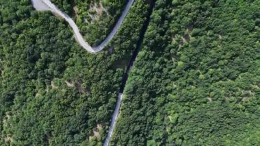 Kameralar kıvrımlı bir yolda döner ve yemyeşil bir ormanda ilerler.