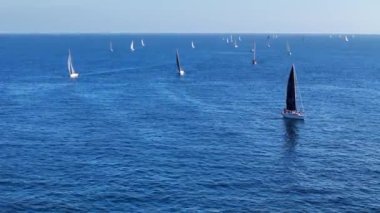 Birçok yelkenli, güneşli bir günde mavi sularda yelken açıyor.