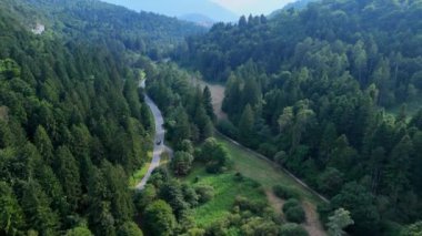 Siyah araba ormanlık bir vadide dolambaçlı bir yolda ilerliyor.