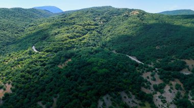 Dar bir yolun havadan görünüşü yemyeşil ormanlarda dönüyor güneşli bir yaz gününde dağlarla kaplı.