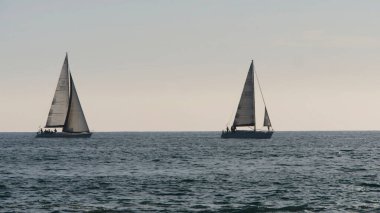 Açık bir günde iki yelkenli, sakin bir okyanusta yüzüyor.