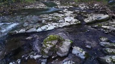 Durgun bir akarsuyun kristal berrak suları şafağın yumuşak ışığında parıldayan kayaların üzerinde zarifçe taşar. Ağaçları ve yaprakları çevreleyen ağaçlar sakin bir atmosfer yaratırken,