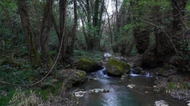 Yumuşak bir akarsu, yosun kaplı kayalar ve narin yeşilliklerle çevrili yemyeşil bir ormana doğru esiyor. Alacakaranlık ışığı ağaçların arasından süzülüp büyüleyici bir atmosfer yaratıyor.