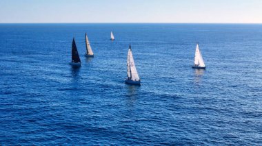 Öğleden sonra güneşi sıcacık parıltısını saçarken, zarif bir yelkenli filosu engin okyanusta geziniyor, yelkenleri hafif esintiyi yakalıyor. Dalgalı mavi su yukarıdaki berrak gökyüzünü yansıtır.