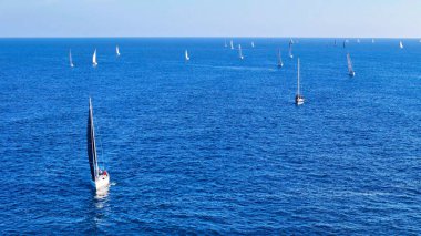 Gün ışığı engin okyanusu aydınlatırken, hareketli bir yelkenli topluluğu sakin sularda yüzüyor, beyaz yelkenleri hafif esintiyi yakalıyor. Güneş koyu mavi üzerine parıltılı bir parıltı saçar.