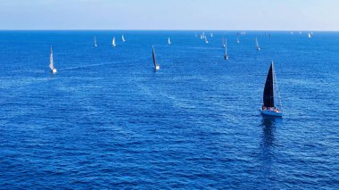 Bir yelkenli filosu engin, pırıl pırıl sularda dans eder. Yelkenleri açık bir günde hafif bir esintiye yakalanır. Gökyüzü yumuşak mavi renklerle boyanırken, güneş altın renginde parıldıyor.