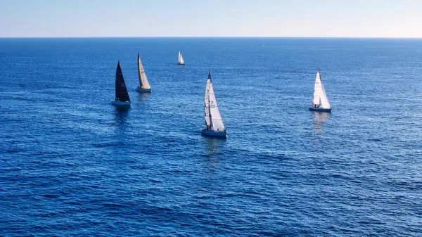 Öğleden sonra güneşi sıcacık parıltısını saçarken, zarif bir yelkenli filosu engin okyanusta geziniyor, yelkenleri hafif esintiyi yakalıyor. Dalgalı mavi su yukarıdaki berrak gökyüzünü yansıtır.