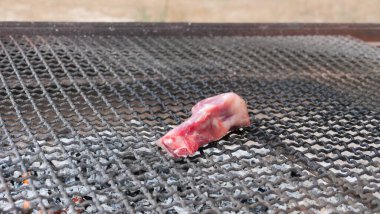 Tek bir lezzetli et parçası kömür ızgarasının üzerinde duruyor, canlı közlerle çevrili, yaz yemeklerinin kokusunu yakalıyor ve açlık ve beklentileri davet ediyor..
