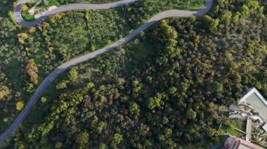 Dolambaçlı bir yol, çeşitli ağaçlar ve bitki örtüleriyle dolu yemyeşil bir arazide dolaşır ve doğal güzelliklere huzurlu bir kaçış sunar..