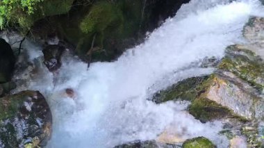 Su, sakin bir orman ortamında yosun kaplı kayaların üzerine nazikçe dökülür. Güneş ışığı yaprakların arasından süzülür ve güzel doğal özellikleri ön plana çıkarır..